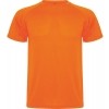 Camiseta Entrenamiento Roly Montecarlo 0425-223