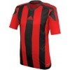 Camiseta adidas Striped 15 AA3726