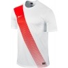 Camiseta Nike Sash 645497-105