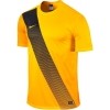 Camiseta Nike Sash 645497-739