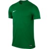 Camiseta Nike Park VI 725891-302