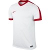 Camiseta Nike Striker IV 725892-101