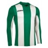 Camiseta Joma Pisa V 100404.450