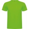 Camiseta Entrenamiento Roly Montecarlo 0425-225