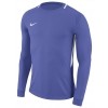 Camisa de Portero Nike Park Goalie III 894509-518
