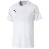 Camiseta Puma Liga Core 703509-04