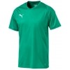 Camiseta Puma Liga Core 703509-05