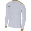 Camiseta Nike Park Derby II 894322-100