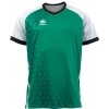 Camiseta Luanvi Cardiff 11482-0050