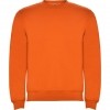 Sudadera Roly Clsica 1070-31