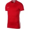 Camiseta Entrenamiento Nike Dri-FIT Academy AJ9996-657