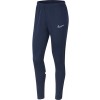 Pantalón Nike Dri-FIT Academy Mujer CV2665-451