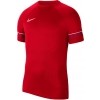 Camiseta Entrenamiento Nike Dri-Fit Academy CW6101-657