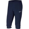 Pantalón Nike Academy 21 3/4 Knit Pant CW6125-451