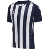 Camiseta hummel HmlCore XK Striped 211458-7929