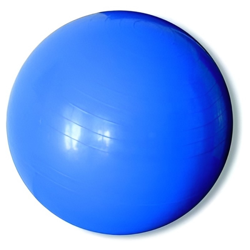  JS Pelota Gigante 65cm