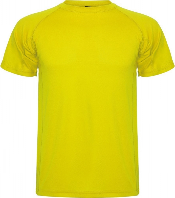 Camiseta Entrenamiento Roly Montecarlo