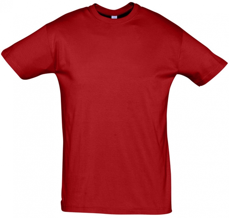 Camiseta Entrenamiento Sols Regent