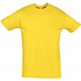 Camiseta Entrenamiento de Fútbol SOLS Regent 11380-301