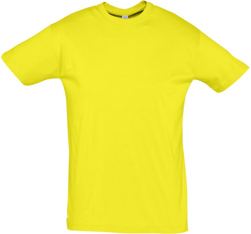 Camiseta Entrenamiento Sols Regent