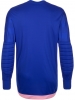 Camisa de Portero adidas Entry 15