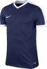 Camiseta Nike Striker IV