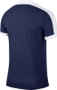 Camiseta Nike Striker IV