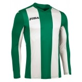 Camiseta de Fútbol JOMA Pisa V 100404.450