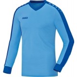 Camisa de Portero de Fútbol JAKO Striker 8916-45