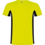 Camiseta Entrenamiento de Fútbol ROLY Shanghai CA6595-22102