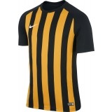 Camiseta de Fútbol NIKE Segment III 832976-010