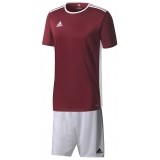 Equipamento de Fútbol ADIDAS Entrada 18 P-CD8430