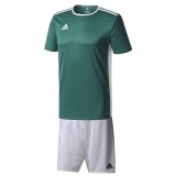 Equipacin de Fútbol ADIDAS Entrada 18 P-CD8358