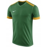 Camisola de Fútbol NIKE Park Derby II 894312-302