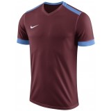 Camiseta de Fútbol NIKE Park Derby II 894312-677