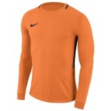 Camisola de Guarda-redes de Fútbol NIKE Park Goalie III 894509-803