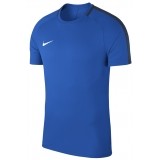 Camiseta Entrenamiento de Fútbol NIKE Academy 18 893693-463