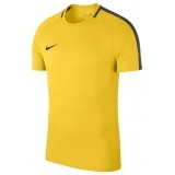 Camiseta Entrenamiento de Fútbol NIKE Academy 18 893693-719