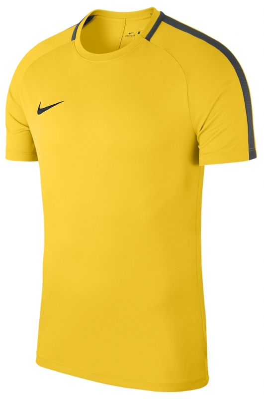 Camisetas Entreno Nike 18 893693-719