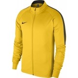 Chaqueta Chndal de Fútbol NIKE Academy 18 Dry 893701-719
