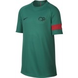  de Fútbol NIKE Academy CR7 894870-348