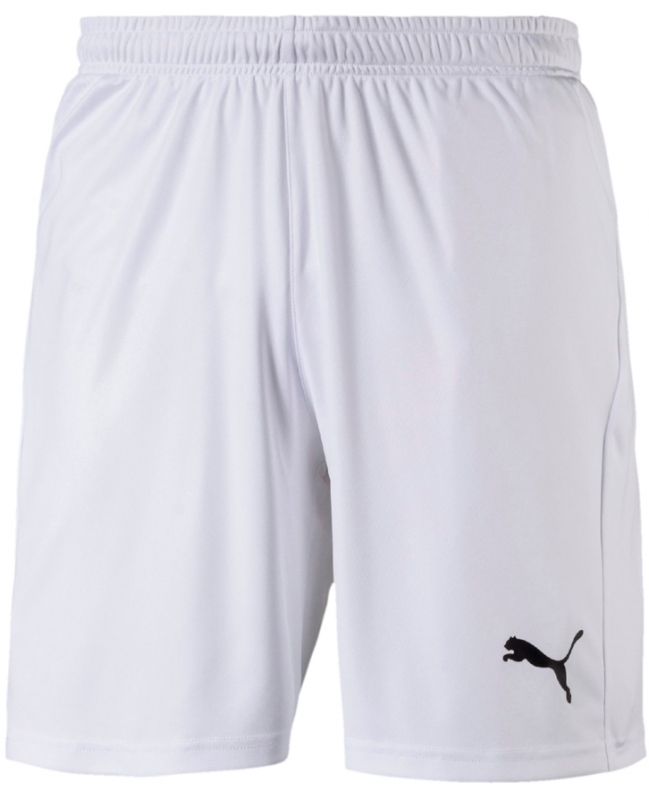 Pantalones Puma Liga Core 703436-04