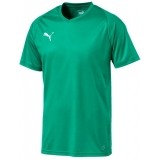 Camiseta de Fútbol PUMA Liga Core 703509-05