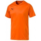 Camiseta de Fútbol PUMA Liga Core 703509-08