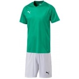 Equipacin de Fútbol PUMA Liga Core P-703509-05