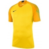 Camisa de Portero de Fútbol NIKE Gardien 894512-719