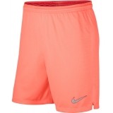 Calzona de Fútbol NIKE F.C. Barcelona 2018-2019 940507-693