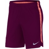 Calzona de Fútbol NIKE F.C. Barcelona 2018-2019 Squad 894346-669