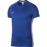 Camisola de Fútbol NIKE Dri-FIT Academy AJ9996-480