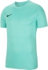Camiseta Nike Park VII